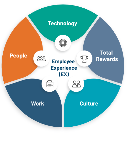 Protiviti’s employee experience roadmap for organisations Protiviti’s employee experience roadmap for organisations