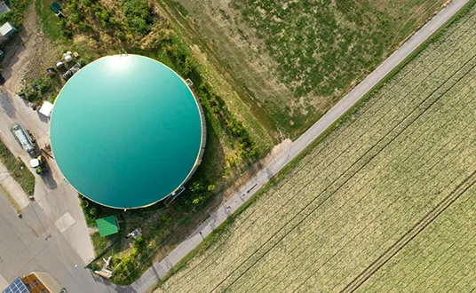 Sustainable Operations, versinnbildlicht durch einen ökologischen landwirtschaftlichen