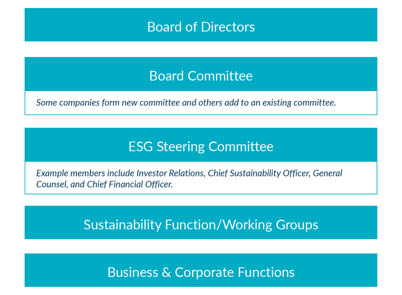 Example sustainability program governance structure 