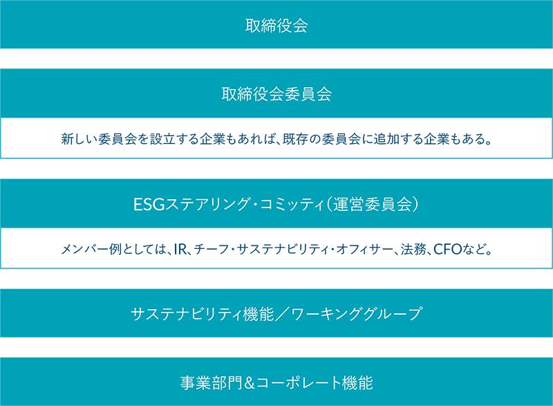 Example sustainability program governance structure