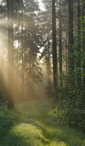 Our Commitment to ESG