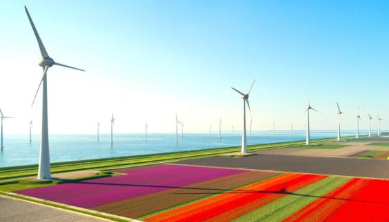 A measured approach FSI COOs weigh in on ESG initiatives