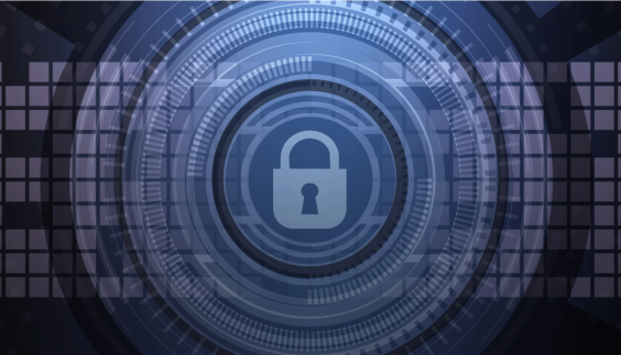 Cookie dal Garante Privacy nuove linee guida a tutela degli utenti