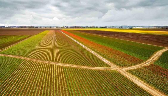 Gestion du risque de corruption