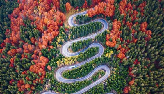 japan_business_resilience_navigator