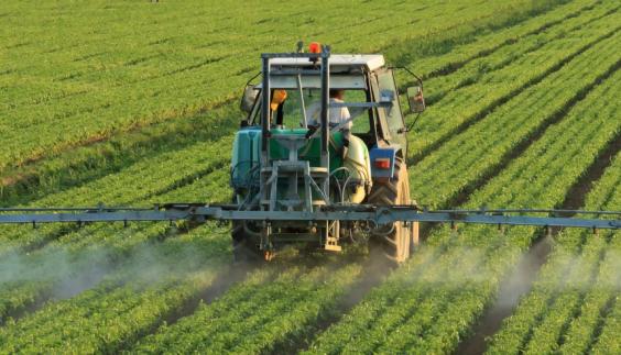 Global Food Co. & Protiviti: SOX COE Success
