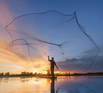 Diving into SAP S/4HANA