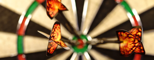 Why Data Governance Programmes Are Easy to Envision, Difficult to Sustain