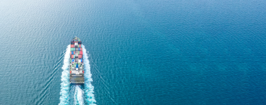 Navigating sanctions compliance through the transition to ISO 20022