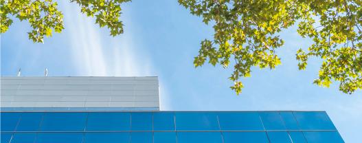 Australian Sustainability Reporting Is Coming: What Companies Need to Know