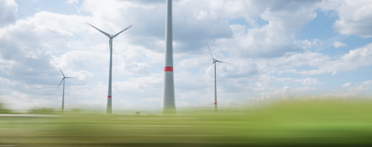 Environmental Nonprofit Builds Supplier Diversity and Sustainability to Meet Climate Change Goals