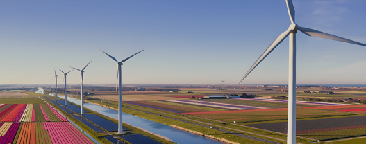 Sustainability FAQ Guide: An Introduction