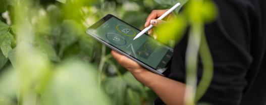 Strategic and Sustainable Sourcing