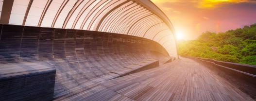 Managing Organisational Blind Spots and Disruption