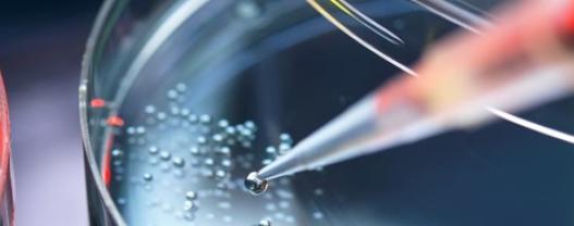 Healthcare Compliance 2025 Hero image Healthcare Compliance 2025 Hero image