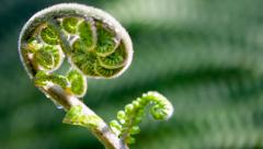  ESG Today and Tomorrow - Beyond Compliance