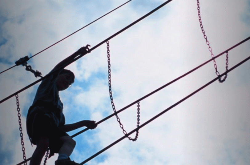 What Do Thriving Organisations Have in Common? Business Agility