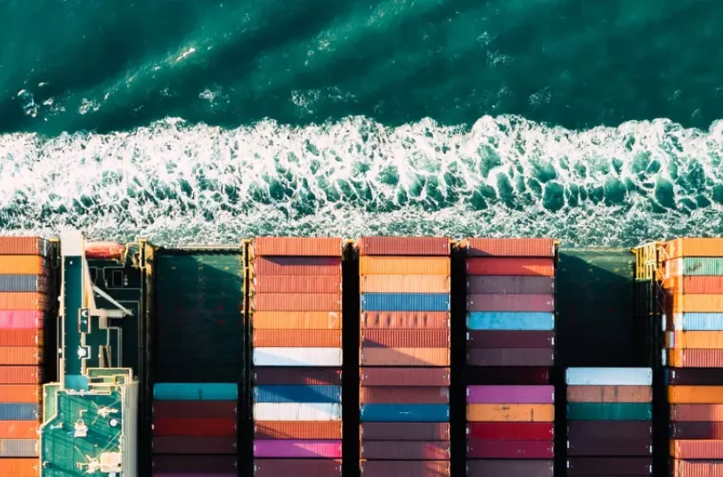 Microsoft Dynamics 365 Finance and Supply Chain Operations read only roles 